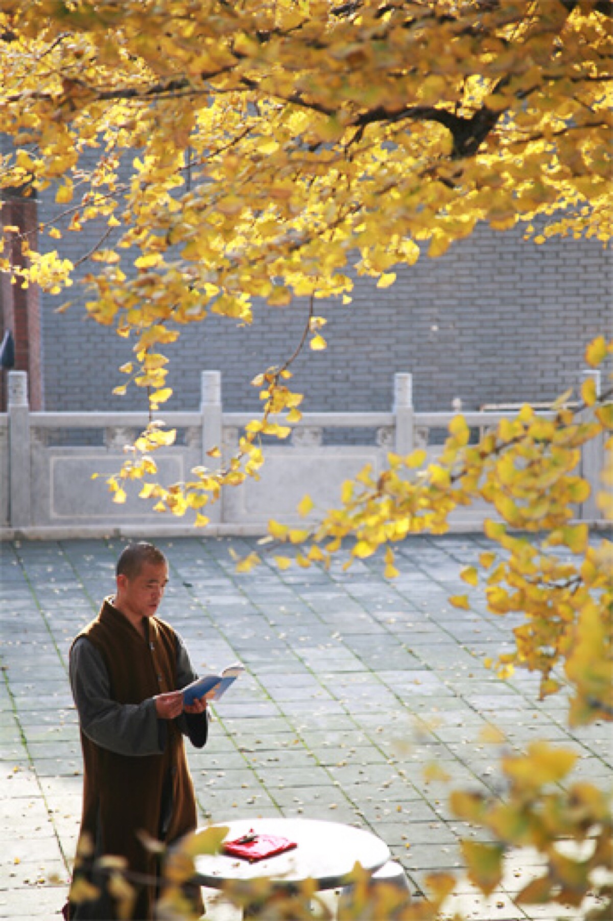 悟宣法师图片