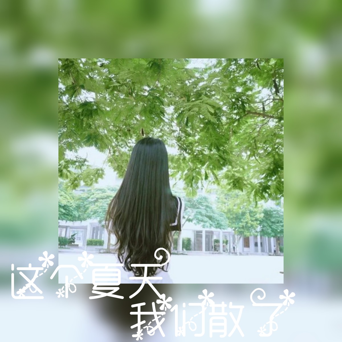 森色系女生背影头像,赠给六年级,初三与高三党们)这个夏天,我们就散