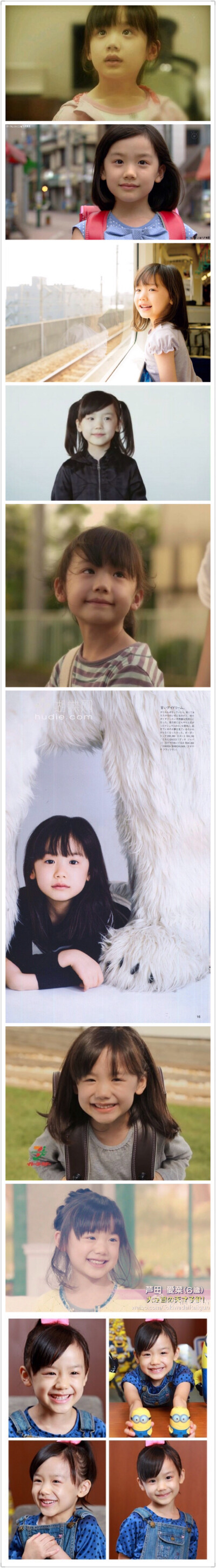 爱菜