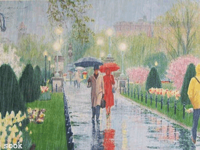 雨景