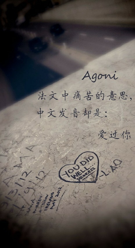 【壁纸】法文中痛苦的意思中文发音却是爱过你by:稚与过往