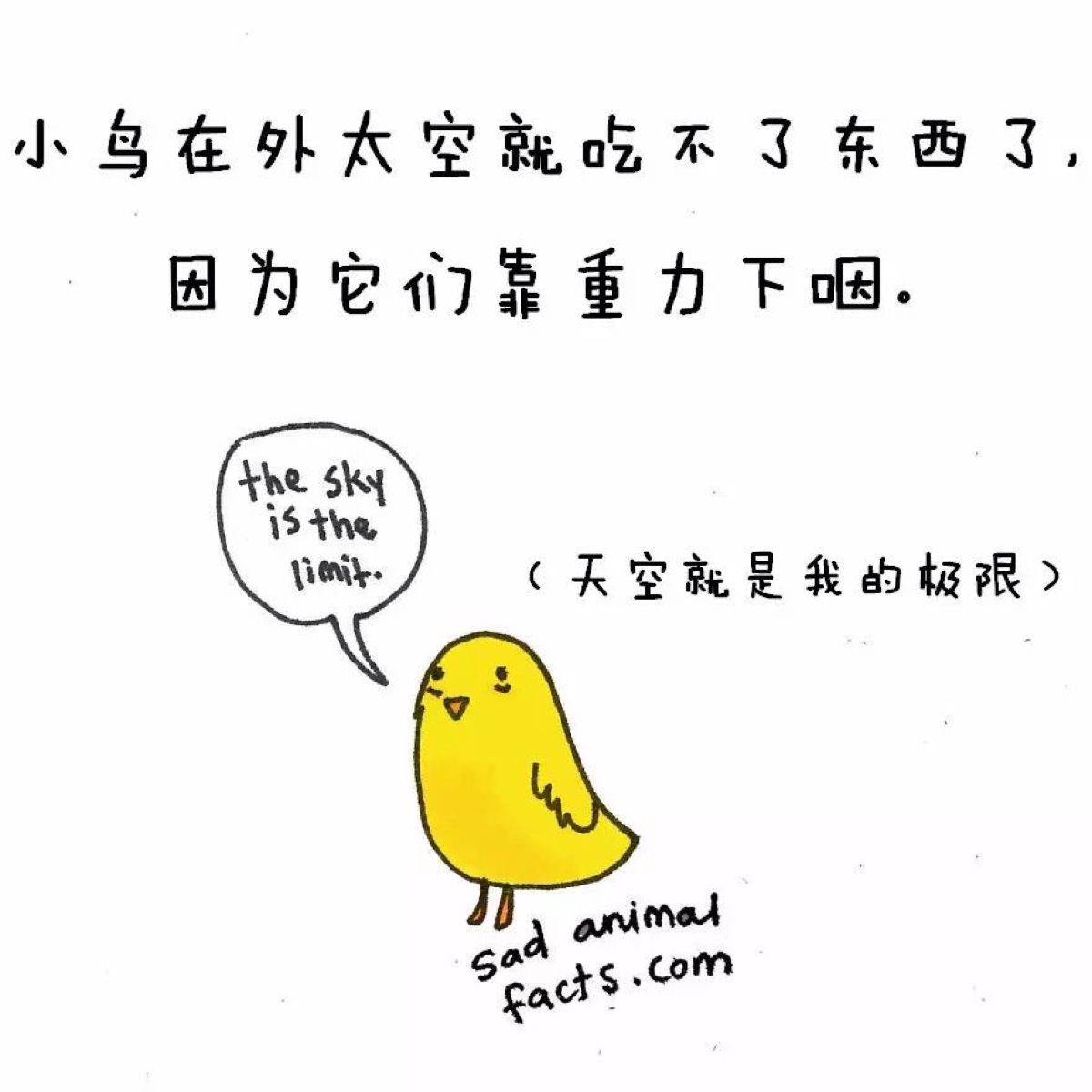 你所不知