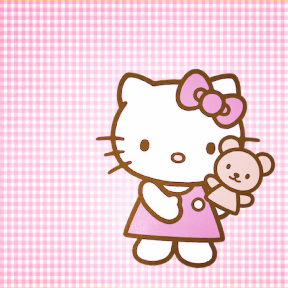 kitty是只胖猫咪