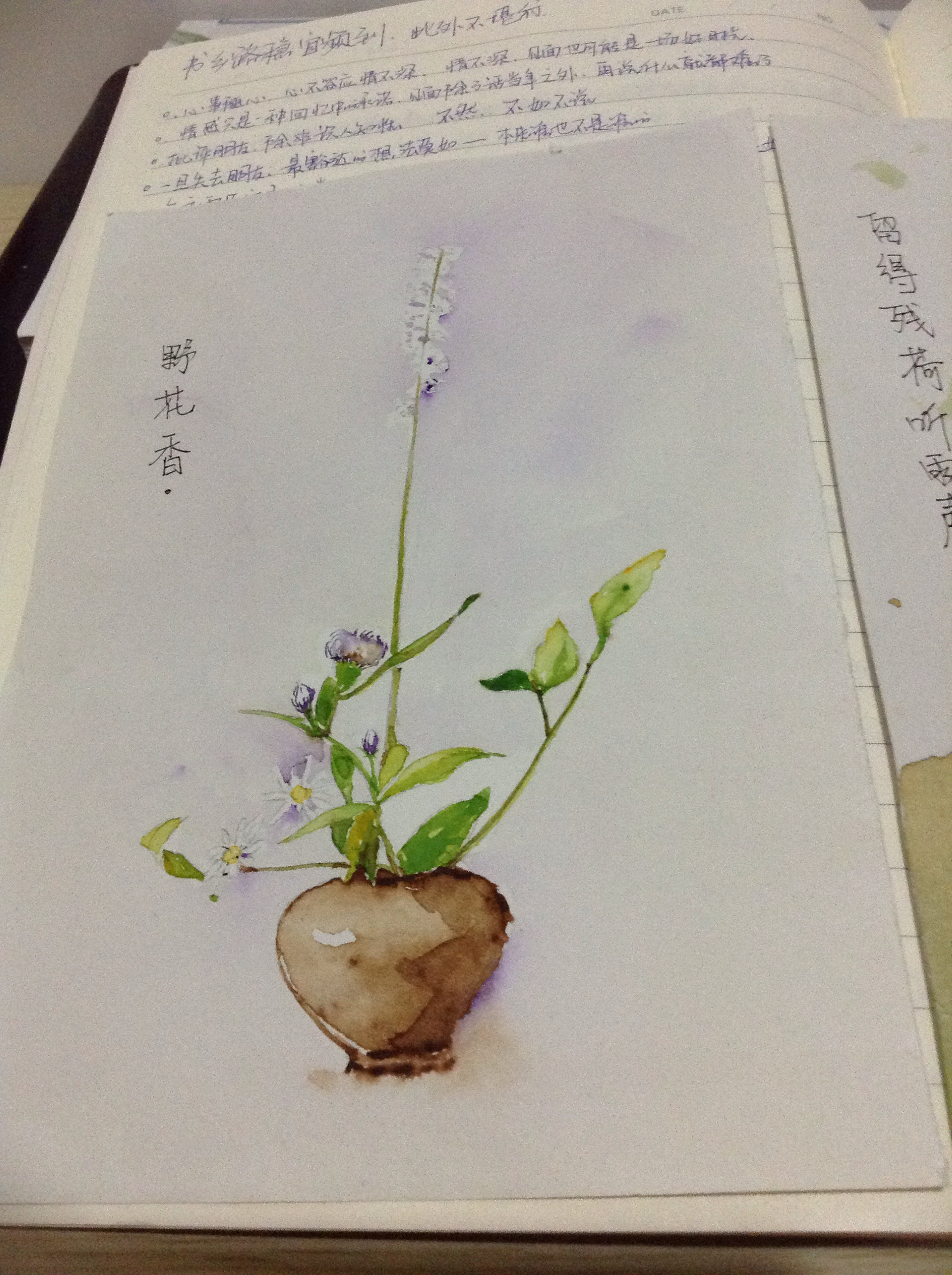苔花怎么画简单图片