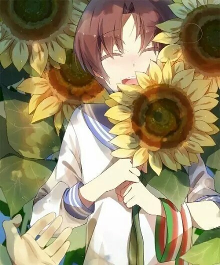 向日葵.阳光的希望