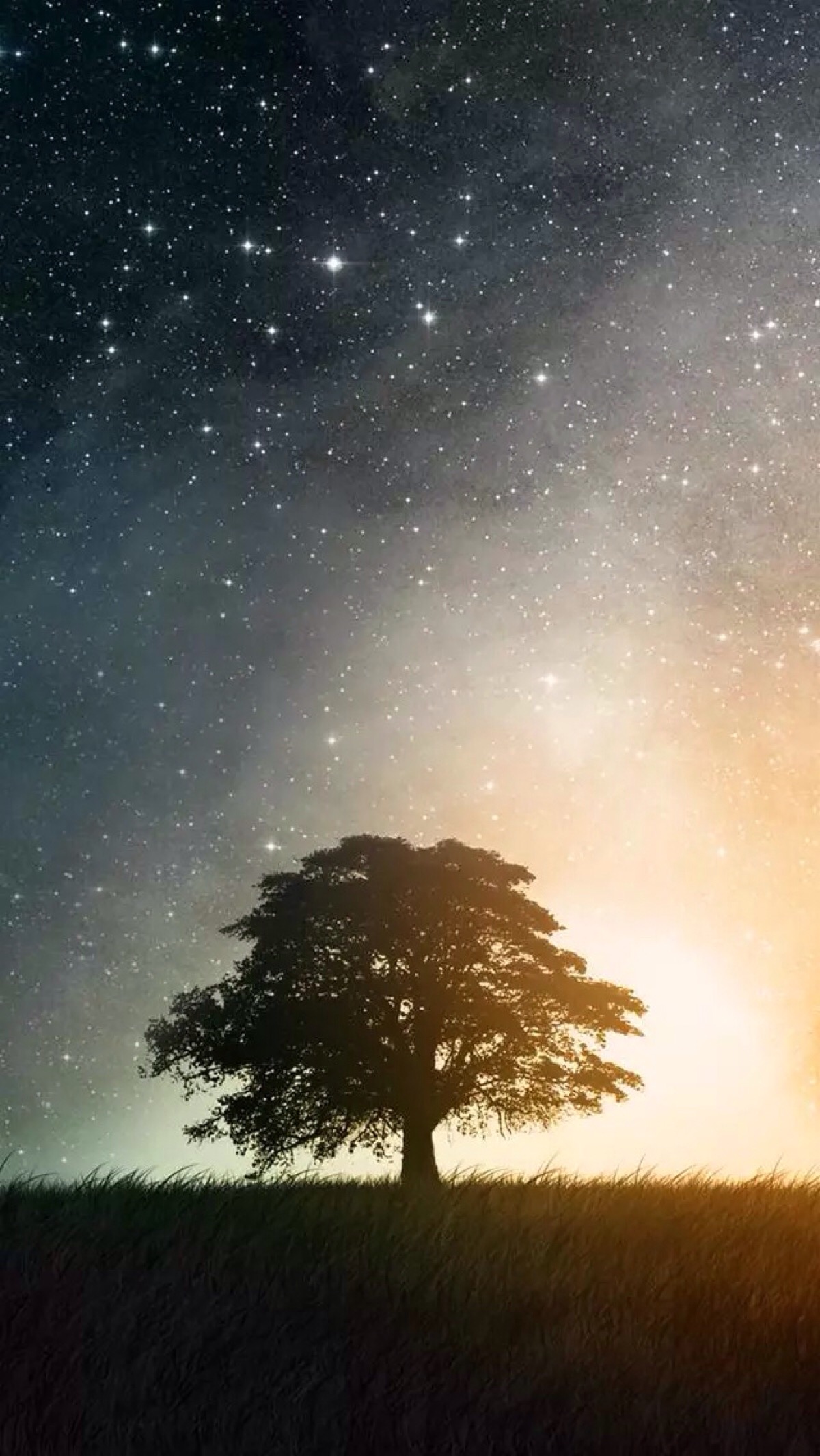 唯美星空 夜景 夜空 树木 星光 自然风景 iphone手机壁纸 唯美壁纸