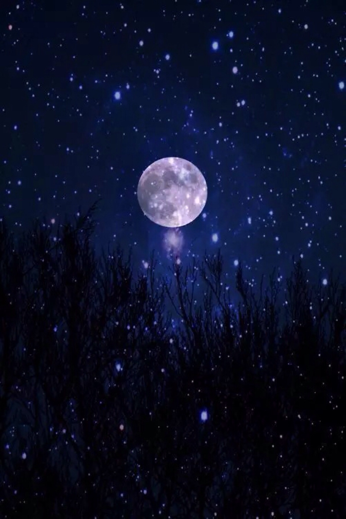 夜景 夜空 树木 星光 月光 明月 静谧 自然风景 iphone手机壁纸 唯美
