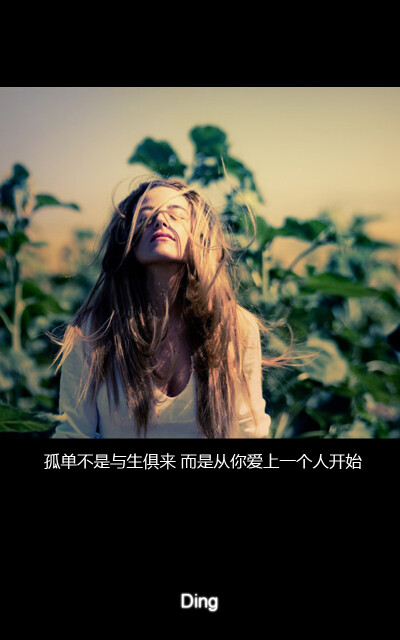 文字- 堆糖,美图壁纸兴趣社区