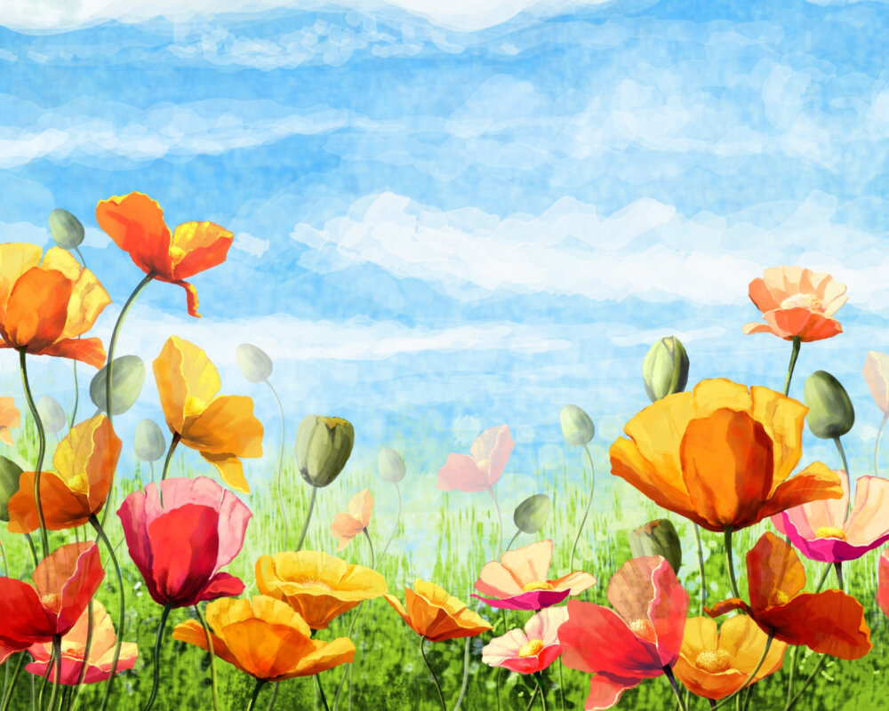 手机壁纸花花世界