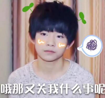 全世界最好的易烊千玺,易烊千玺表情包