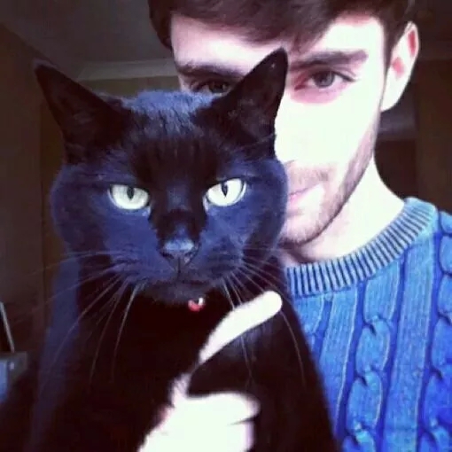 抱猫男生头像欧美图片