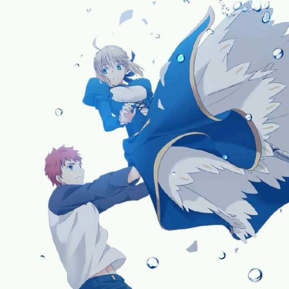 fate stay night saber 卫宫士郎