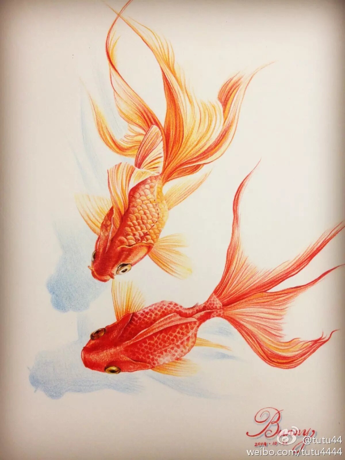 金鱼戏水 彩铅