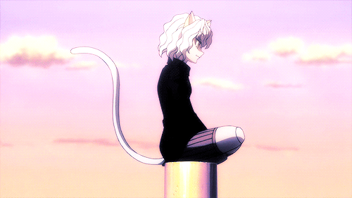 2015年8月22日 1:17   关注  全职猎人 尼飞比特 评论 收藏