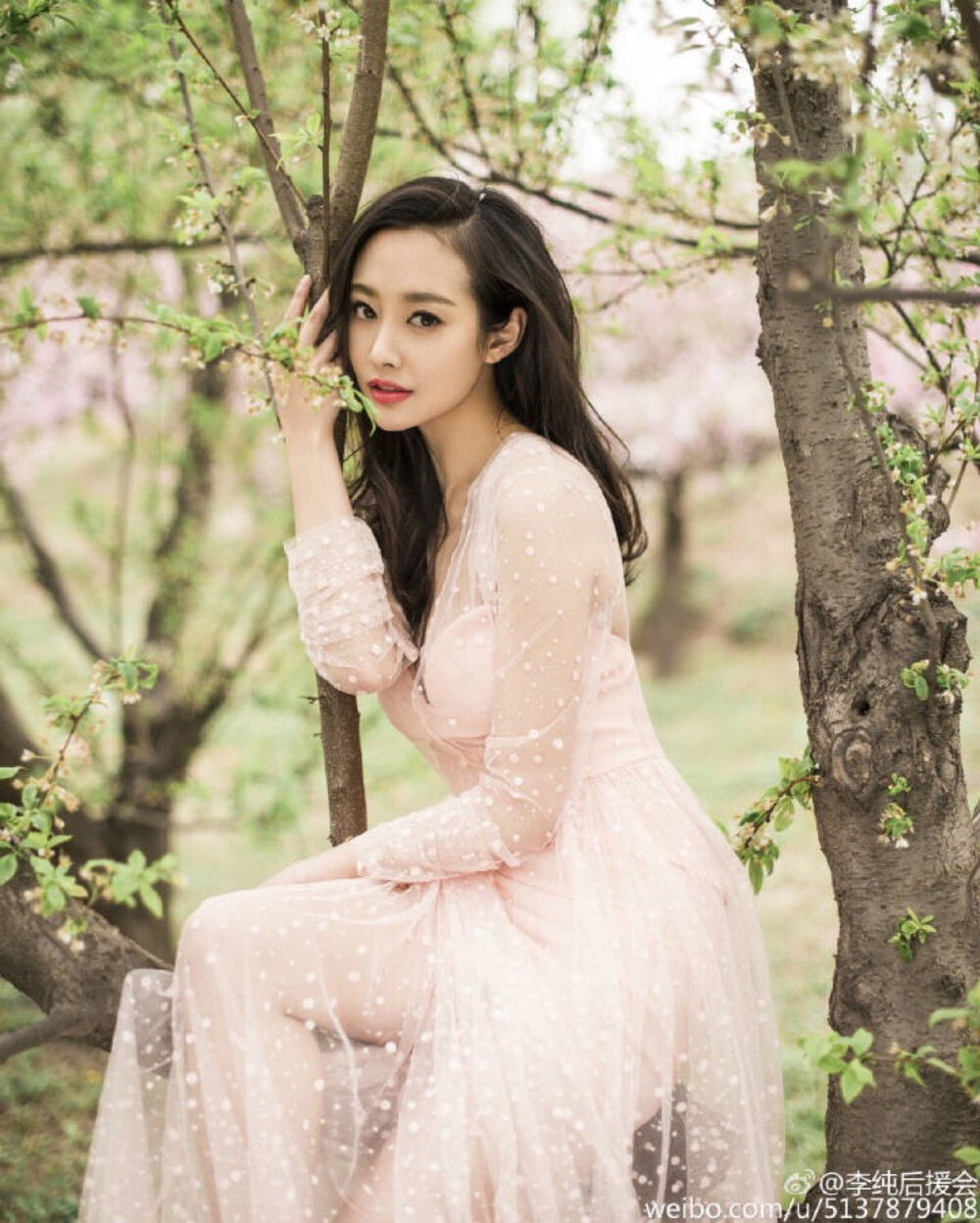 花千骨霓漫天李纯