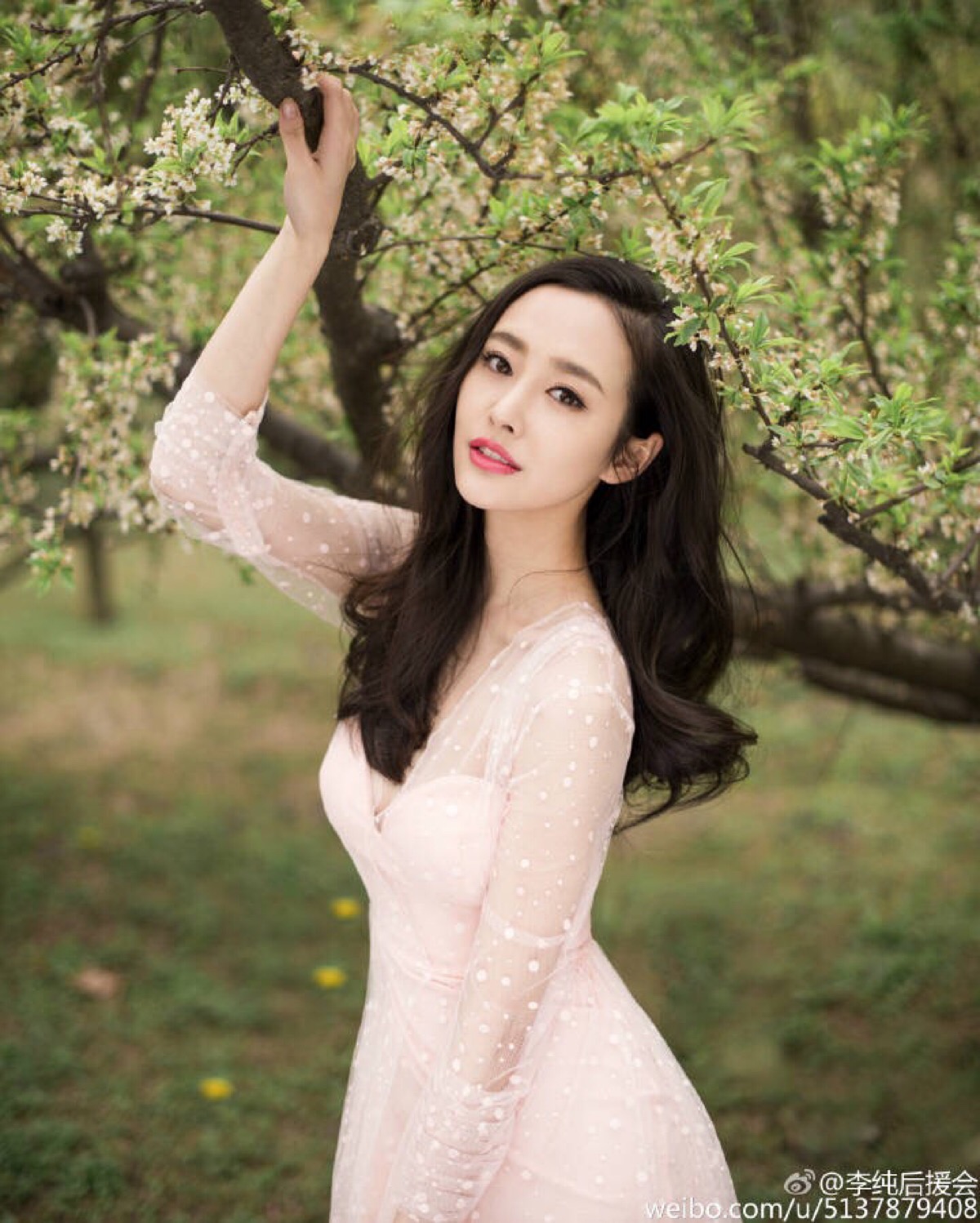 《花千骨》霓漫天(李纯)