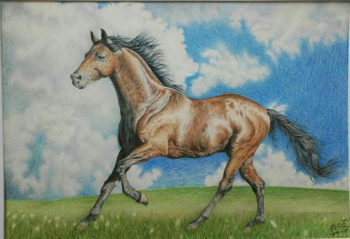 马的色彩画图片大全图片
