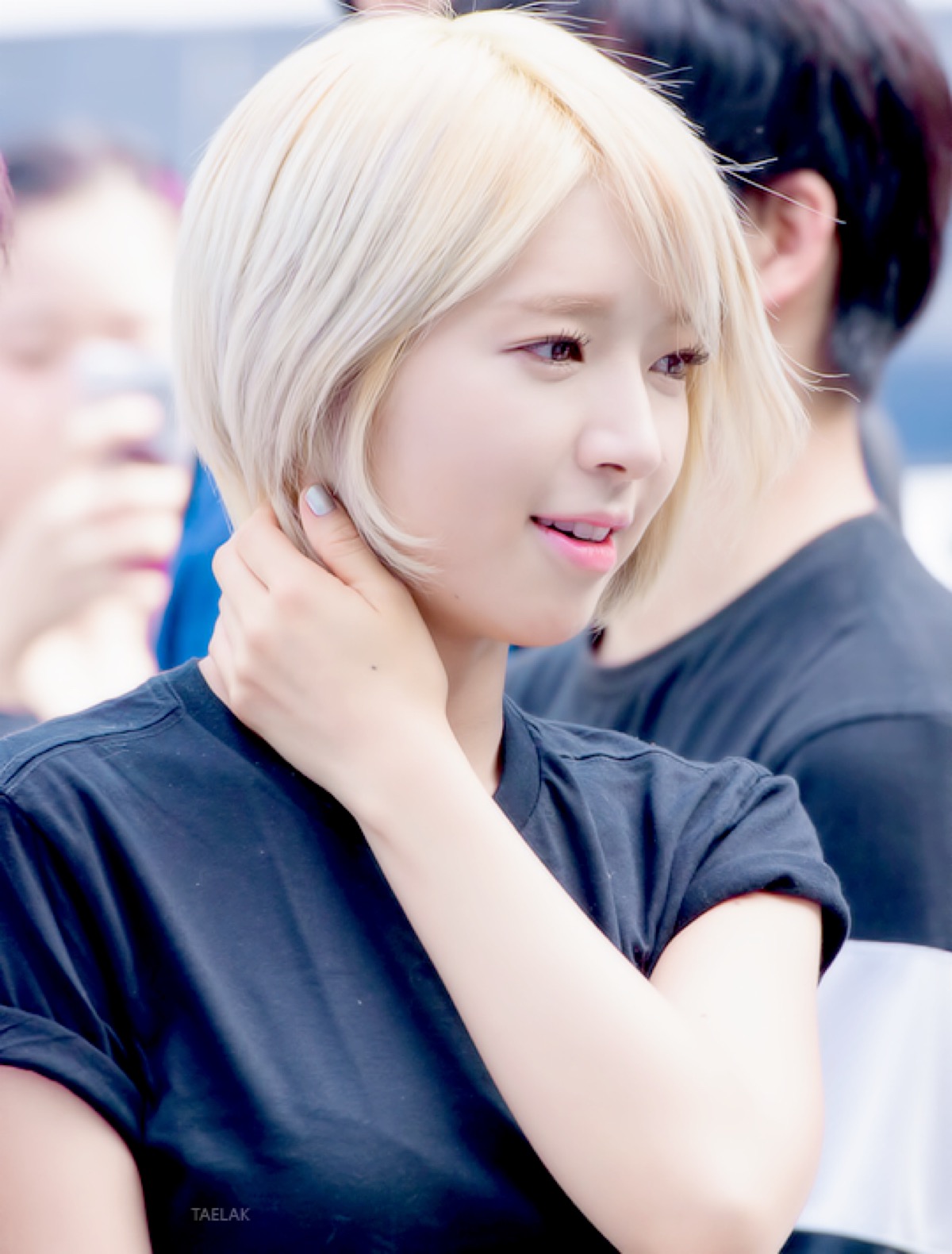 aoa 朴草娥