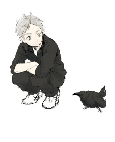 排球少年##菅原孝支##乌鸦