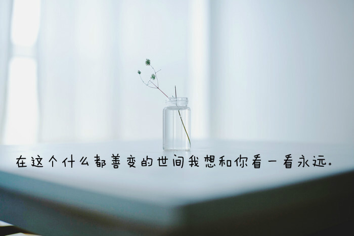 《我不喜欢这世界,我喜欢你》 图片来自 @瓦蓝的猫