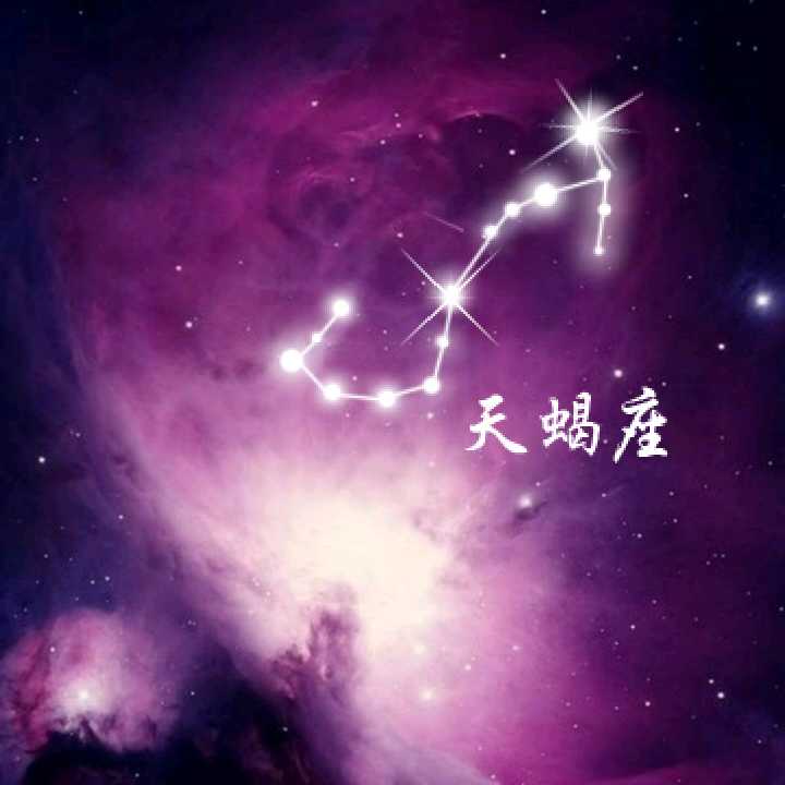 天蝎座 - 堆糖,美图壁纸兴趣社区