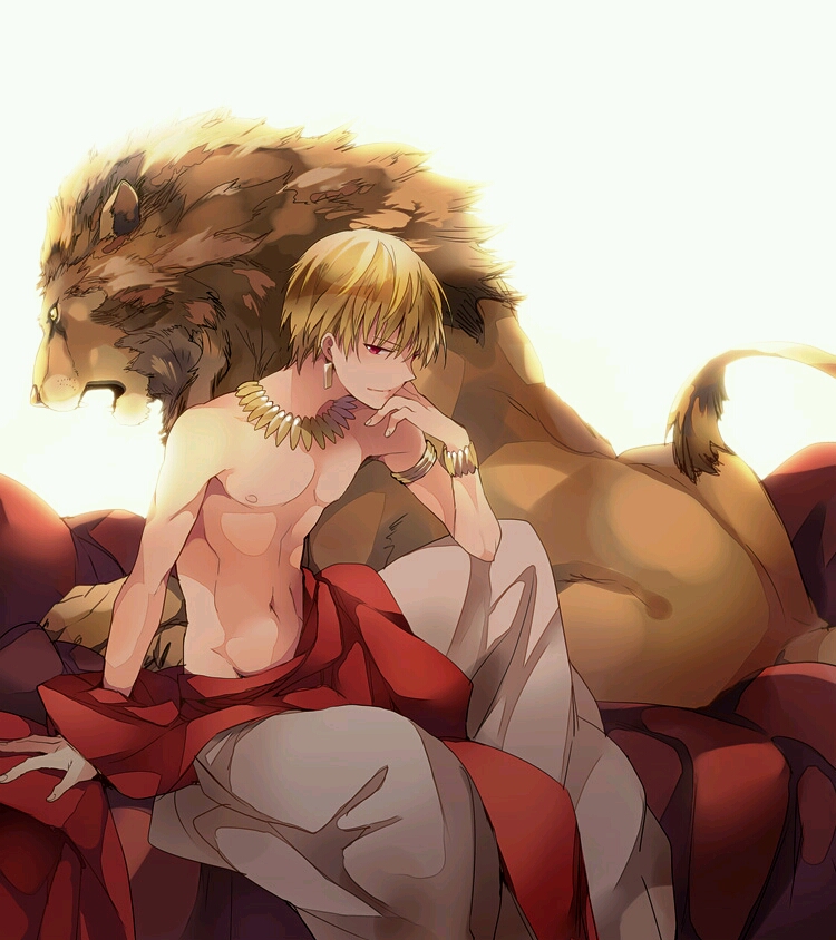 fate zero