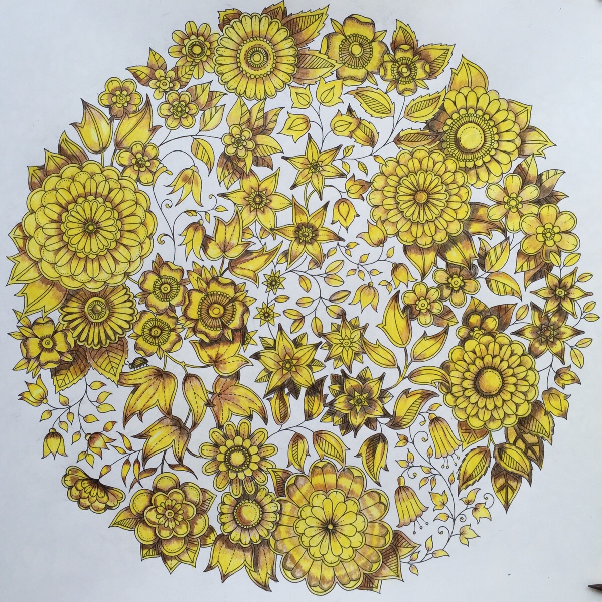 secret garden 秘密花园