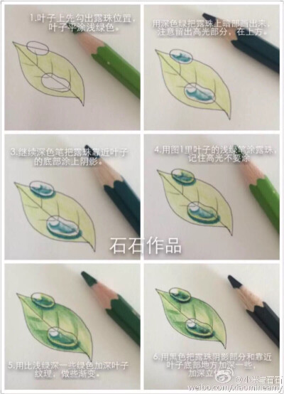 叶子露珠简笔画图片