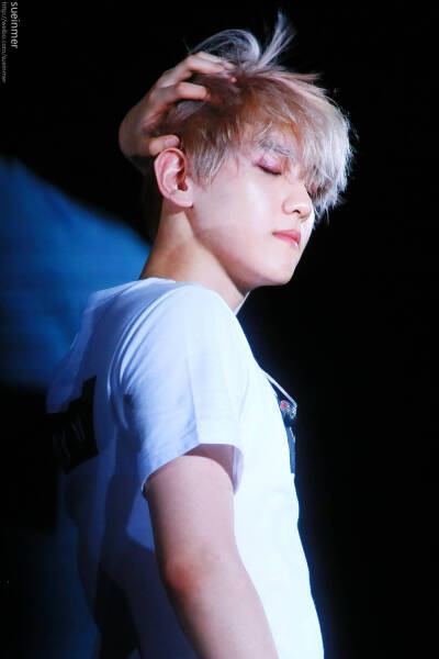 exo 边伯贤 妖精啊! cr:logo