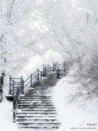 寒阶空梯白染霜,风眷枯枝了春寒 2 故人身何处,霜雪满庭阶