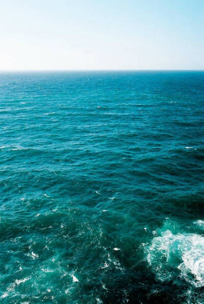 大海