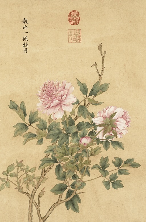 【 清宫花鸟画家 · 余省 】