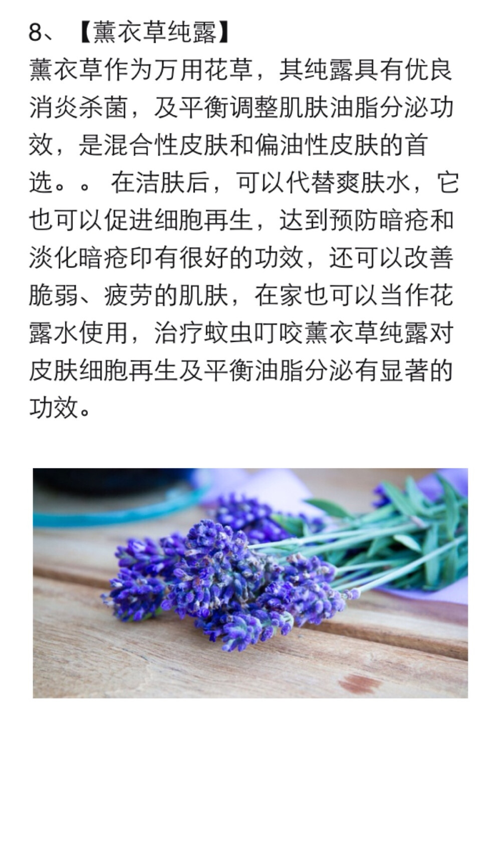 薰衣草有什么作用图片