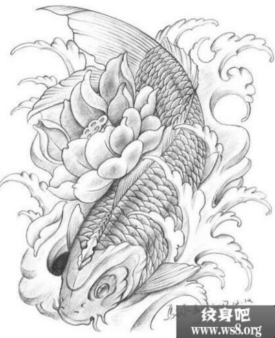 「joo tattoo share」纹身图案/手稿/鲤鱼