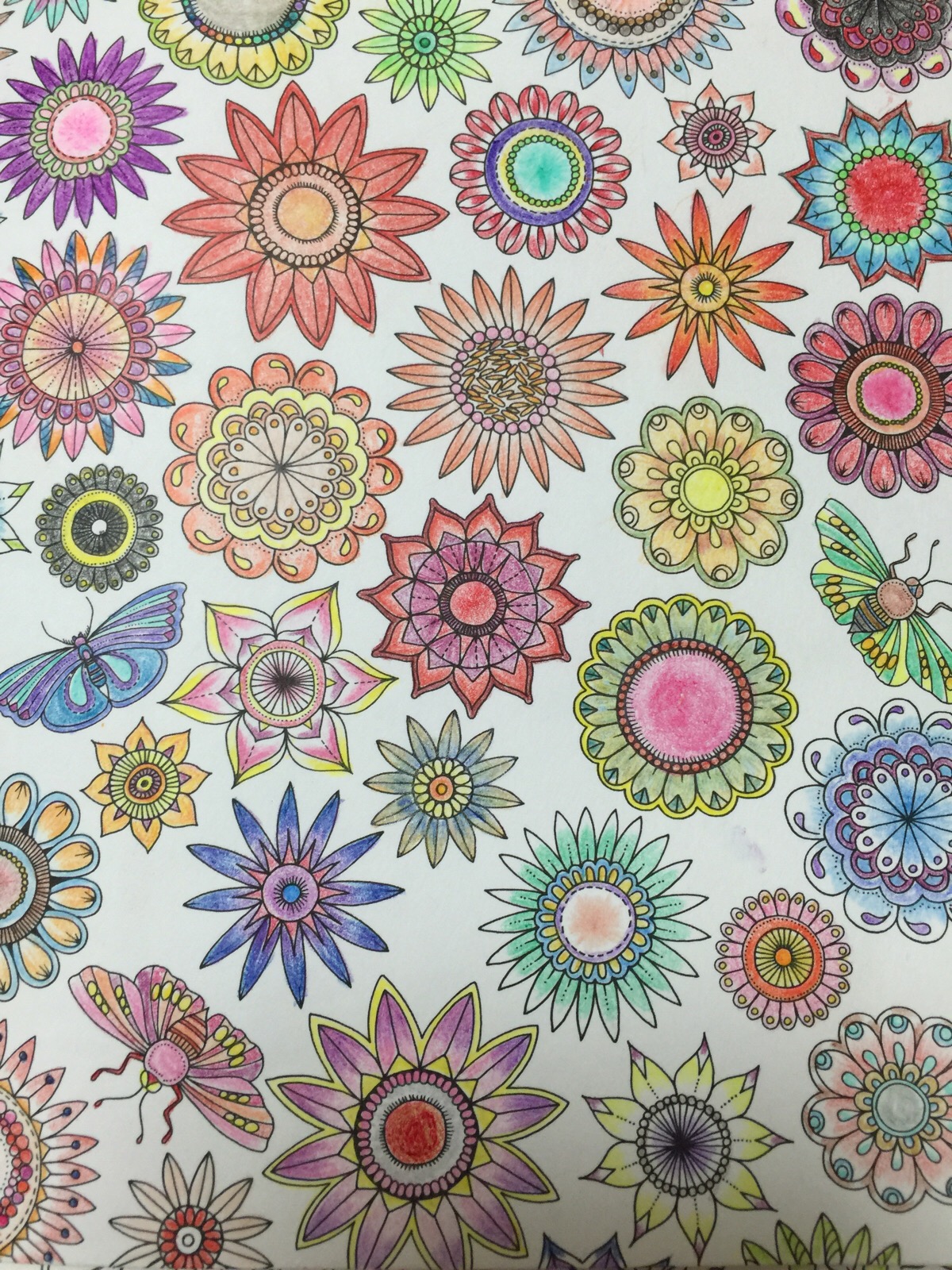 秘密花园(参考配色)