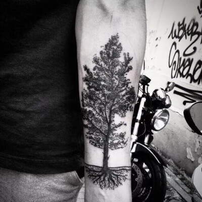小臂纹身树纹身生命之树剪影纹身
