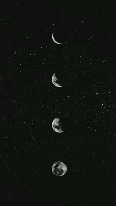 风景