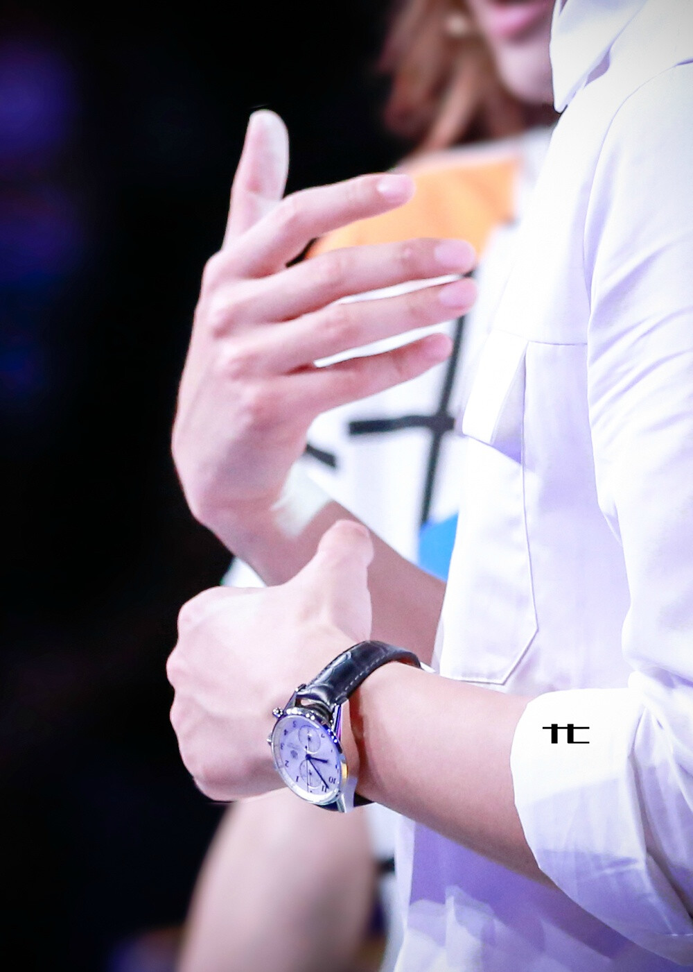 世界上最美的手