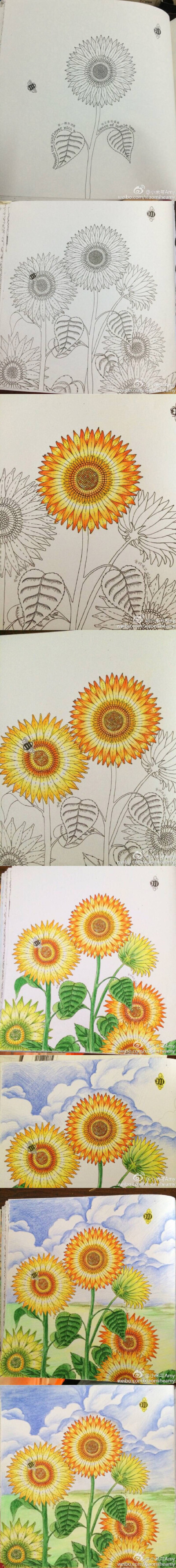 秘密花园向日葵涂色图片