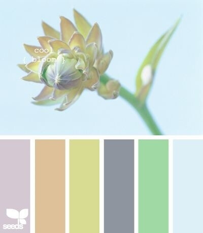 画画,sai,ps,板绘,鼠绘,素材,贴图,搭配,色卡