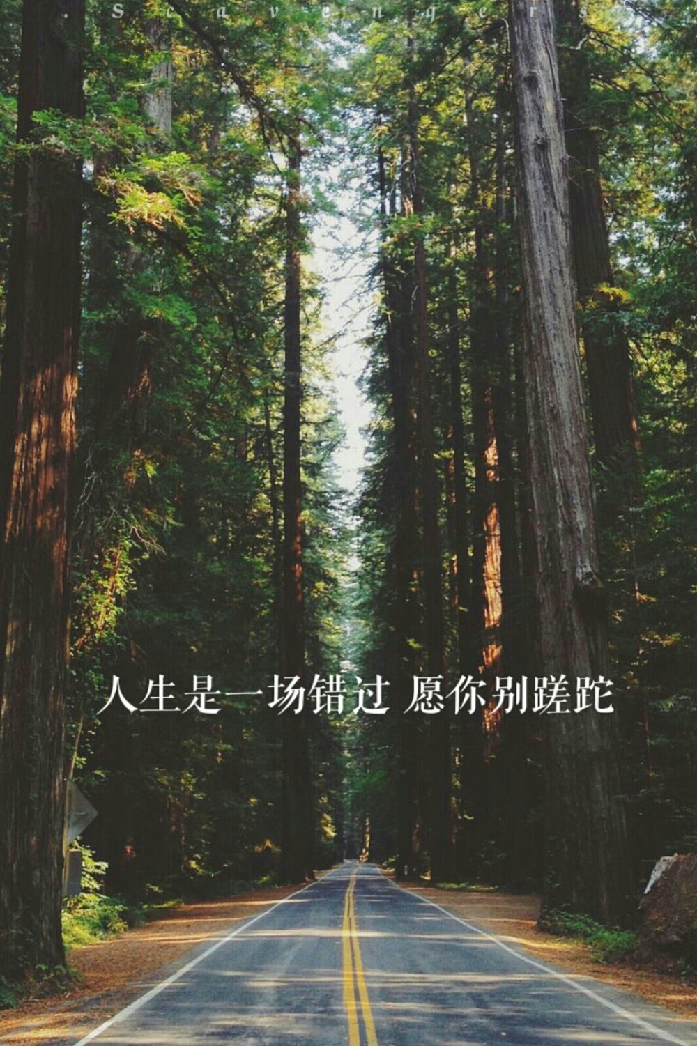 [最爱文字line] 文字壁纸 锁屏壁纸 风景 最爱 原创自制壁纸