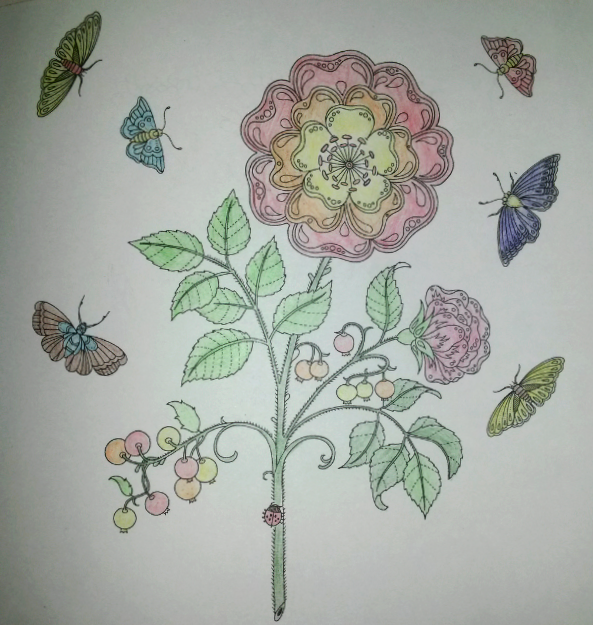 秘密花园之蝴蝶