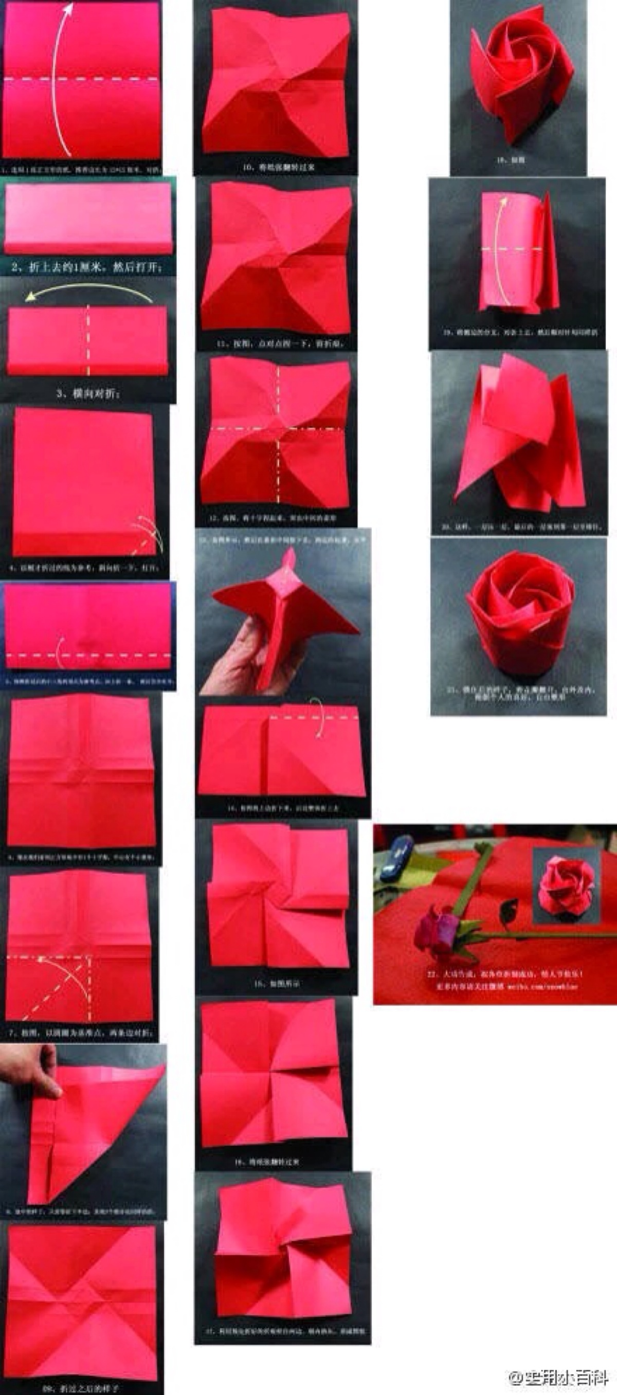 折纸教程 手工折纸玫瑰教程