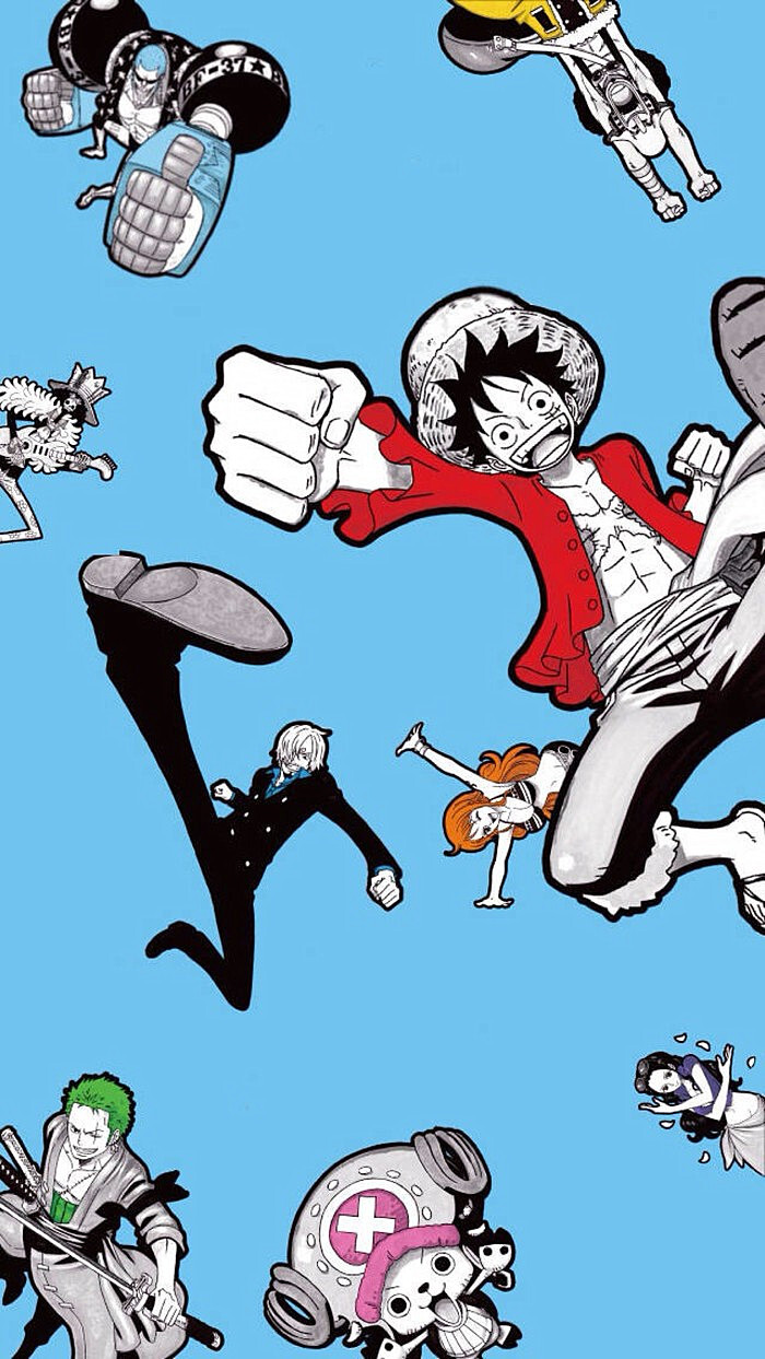 《海贼王》草帽海贼团