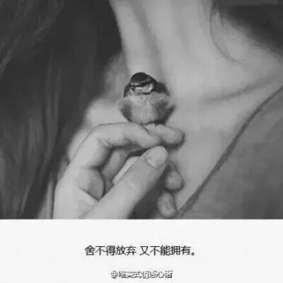 【舍不得放弃,又不能拥有】伤感文字说图 by:-心末
