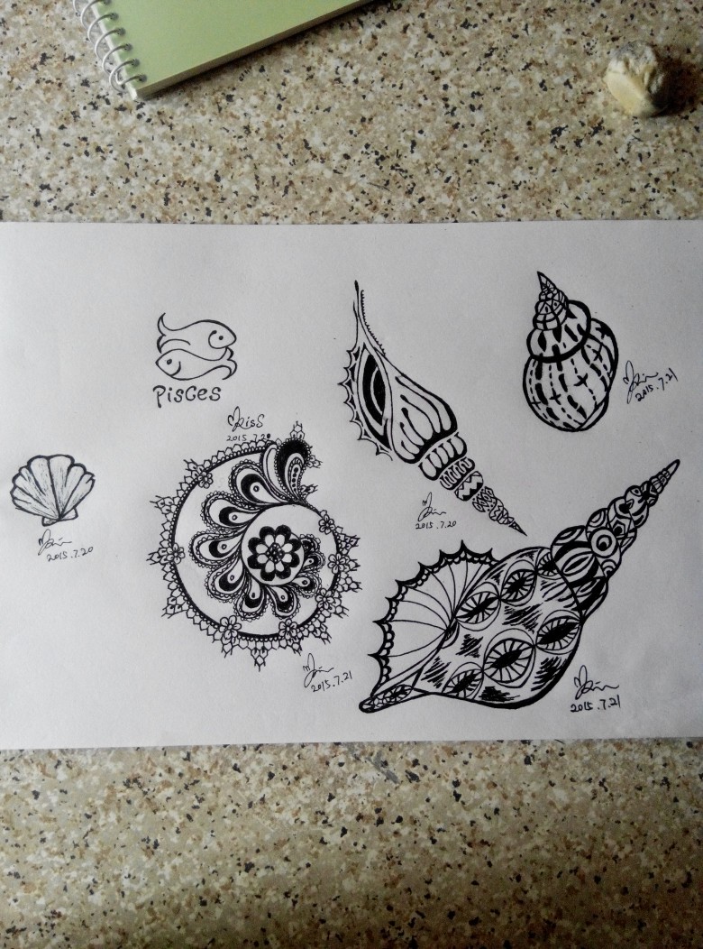 海螺,手绘