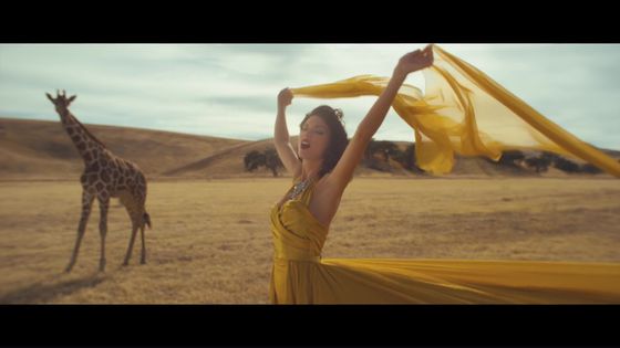 taylorswift泰勒斯威夫特widestdreamsmv截图