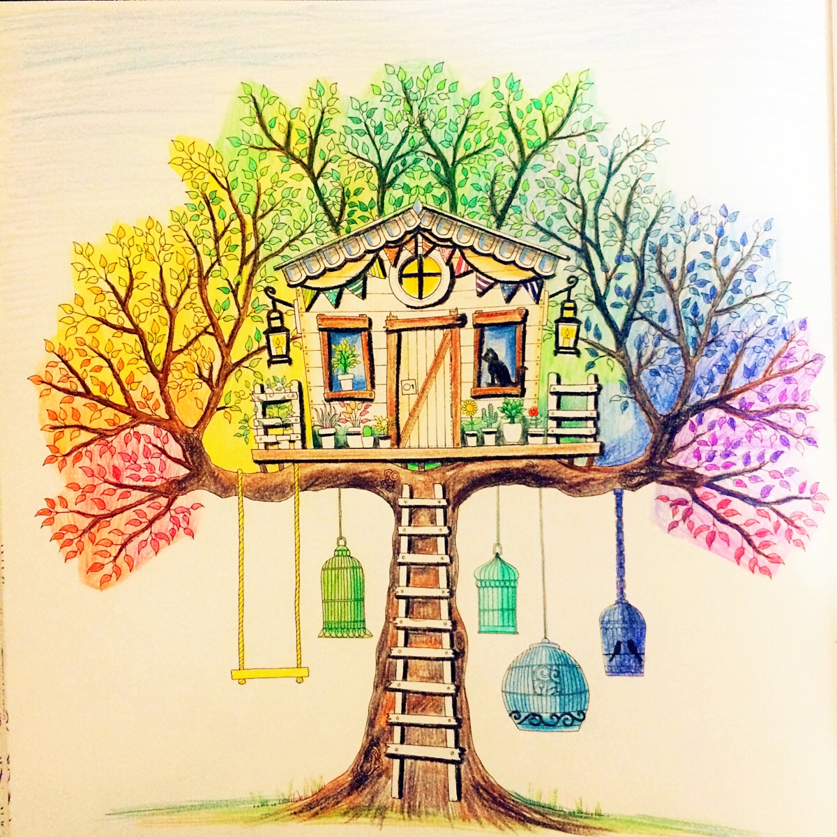 秘密花园第三副作品——彩虹树屋画得很快,效果好好哟!