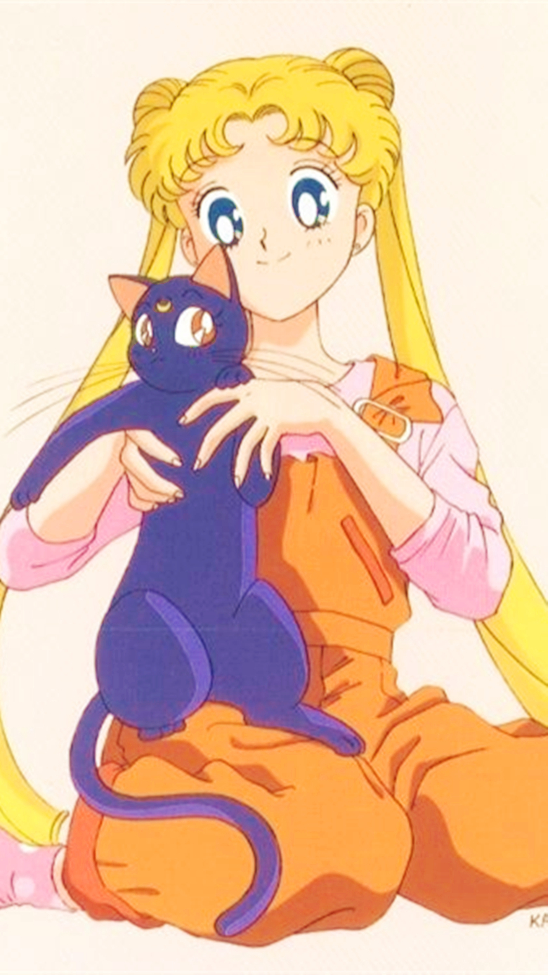 美少女战士 水手战士 sailormoon 月野兔 水手月亮 ip