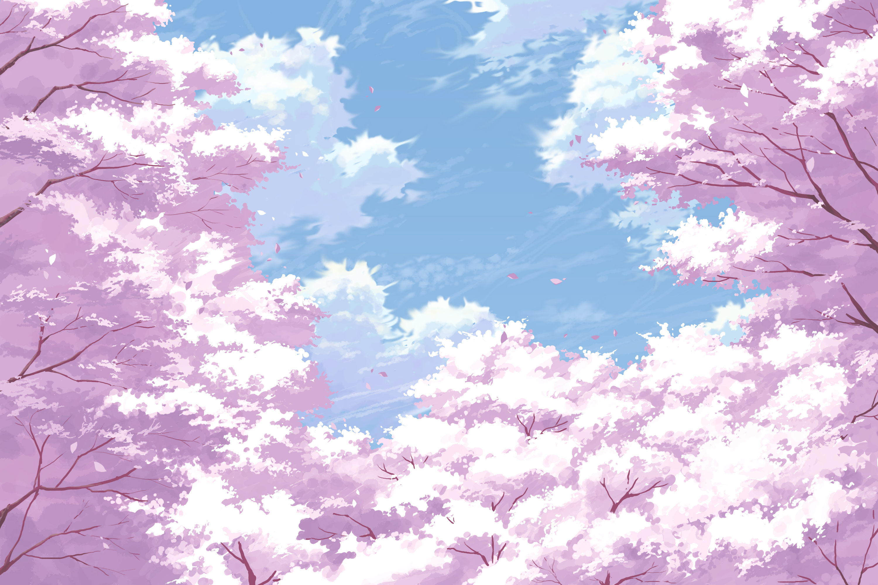樱花壁纸二次元全屏图片